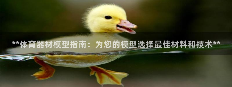 杏鑫平台告7O777：**体育器材模型指南：为您的模