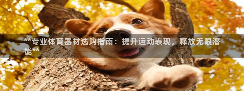 杏鑫娱乐登录注册：**专业体育器材选购指南：提升运动