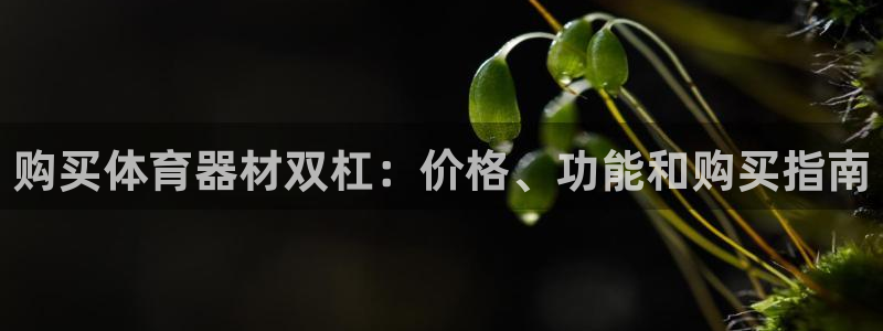 杏鑫平台招商：购买体育器材双杠：价格、功能和购买指南