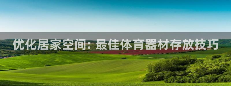 杏鑫首开什么意思：优化居家空间: 最佳体育器材存放技