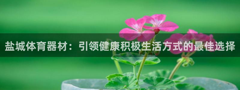 杏鑫娱乐安全吗：盐城体育器材：引领健康积极生活方式的