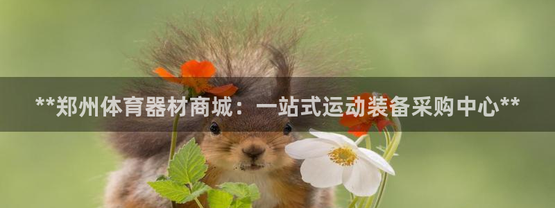 杏鑫来袭什么意思：**郑州体育器材商城：一站式运动装