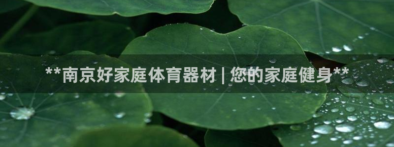 杏鑫娱乐建3.3.4.8.2 主管：**南京好家庭体