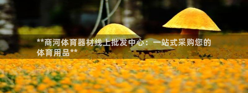 杏鑫登场的意思：**商河体育器材线上批发中心：一站式