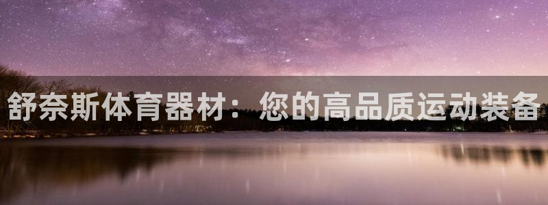 杏鑫挑战第二关怎么过：舒奈斯体育器材：您的高品质运动