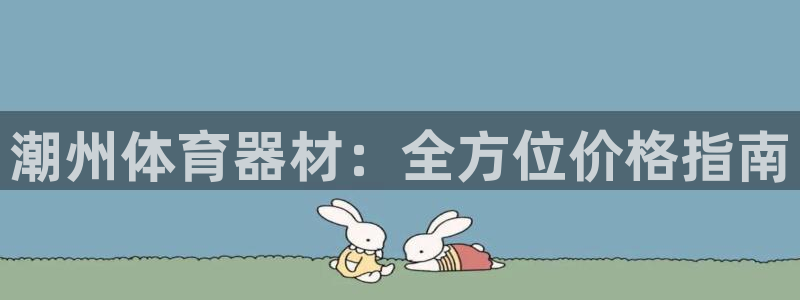 杏鑫圣主：潮州体育器材：全方位价格指南