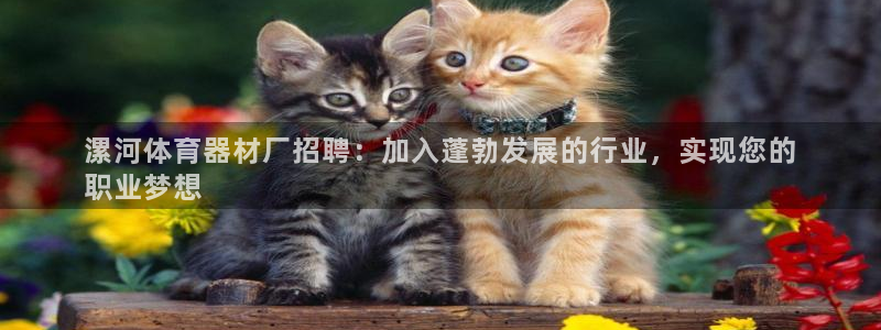 杏鑫平台开户联4.8.7.7.8.4他系稳定吗：漯河