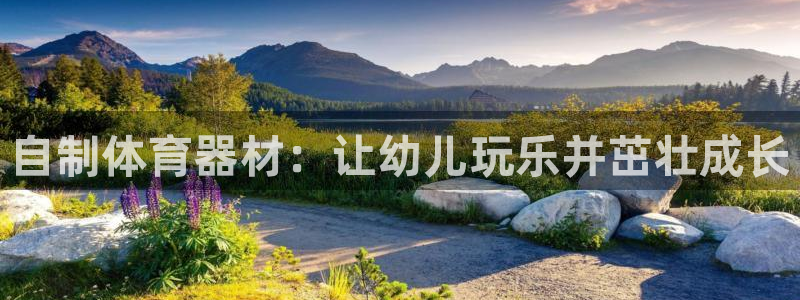 杏鑫平台注册步骤：自制体育器材：让幼儿玩乐并茁壮成长