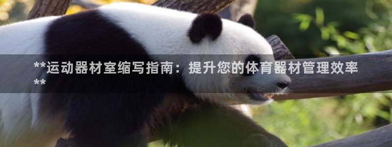 杏鑫第二关：**运动器材室缩写指南：提升您的体育器材