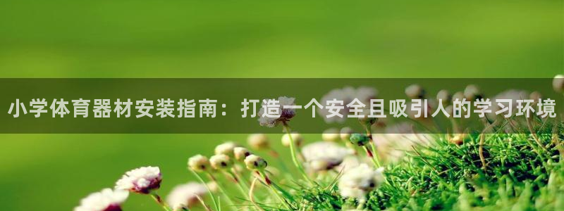 杏鑫娱乐登陆地址在哪：小学体育器材安装指南：打造一个