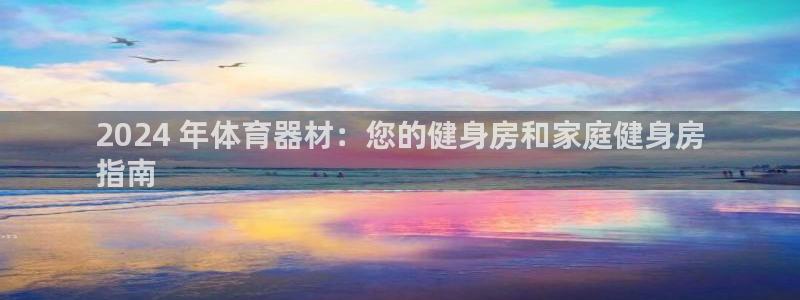 杏鑫平台先 585341 杏鑫：2024 年体育器材