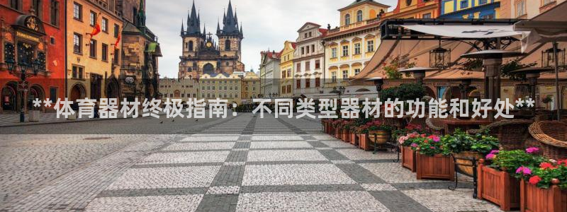 杏鑫意思是什么：**体育器材终极指南：不同类型器材的