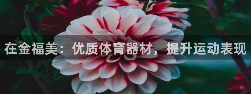 杏鑫平台最新注册地址是哪里的：在金福美：优质体育器材